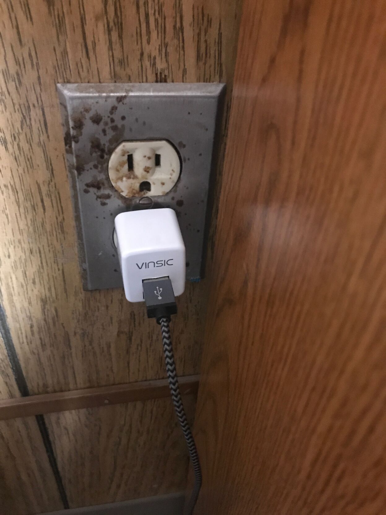 mold lsus